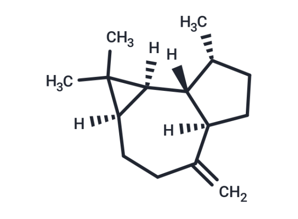 (+)-Aromadendrene