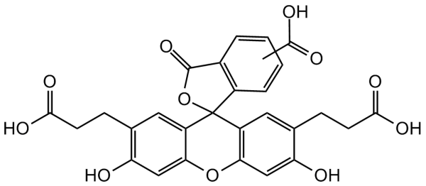 BCECF acid
