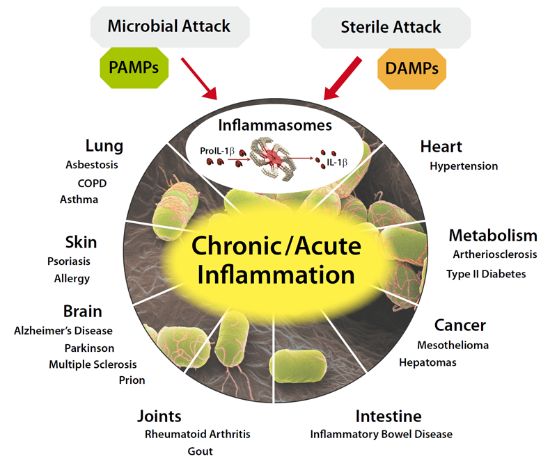 Inflammasome-Therapeutic-Implications