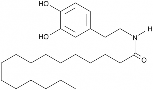 N-Palmitoyl Dopamine