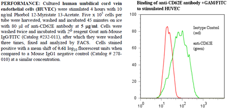 Anti-CD62E (human), clone HAE-1f