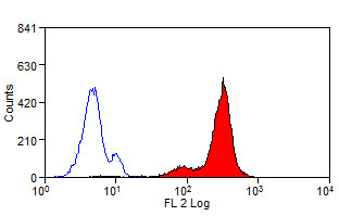 Anti-Macrophages (RPE), clone MAC387