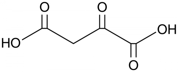 Oxaloacetic Acid