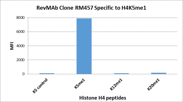 Anti-Monomethyl-Histone H4 (Lys5), Rabbit Monoclonal (RM457)