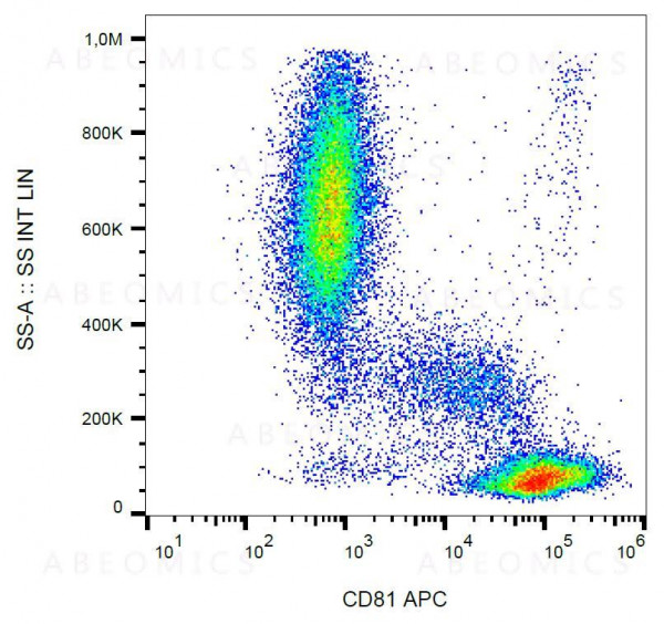 Anti-CD81 Monoclonal Antibody (Clone:M38)-APC Conjugated