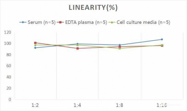 Mouse S100A9 (S100 Calcium Binding Protein A9) CLIA Kit