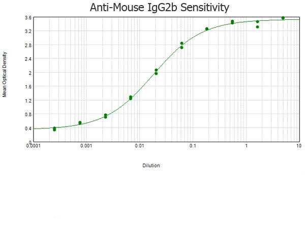 Anti-Mouse IgG2b (Gamma 2b Chain) [Rabbit]