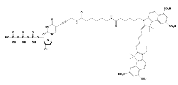 Sulfo-Cyanine5.5 dUTP