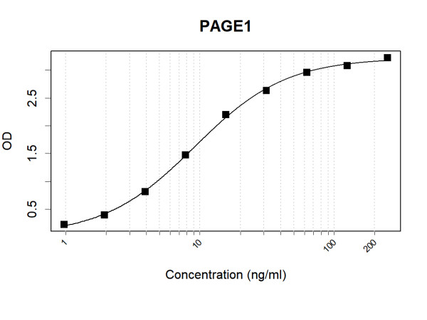 Anti-Human PAGE1 Antibody Pair