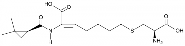 Cilastatin