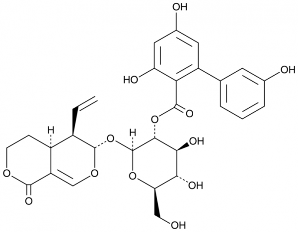 Amarogentin
