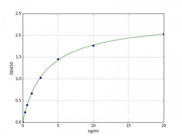Human NEBL (Nebulette) ELISA Kit
