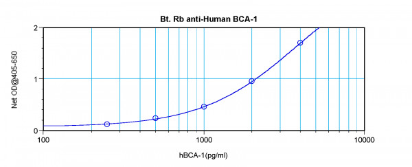 Anti-CXCL13 / BCA1 (Biotin)