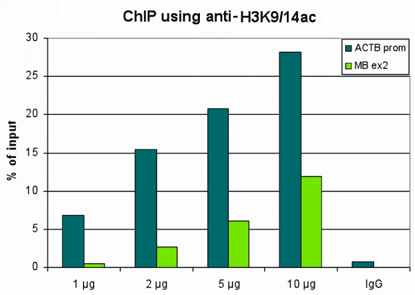 Anti-H3K9/14ac