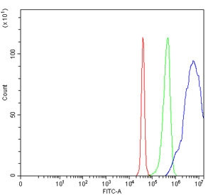 Anti-SAP30 / Sin3-associated polypeptide p30