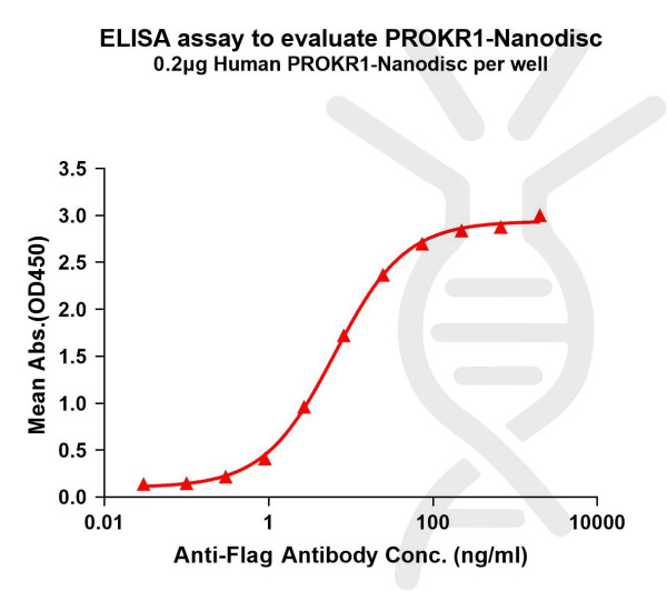 PROKR1 (human) full length protein-synthetic nanodisc