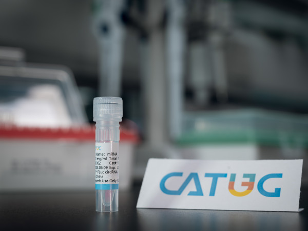 CatPure(TM) Firefly luciferase circRNA