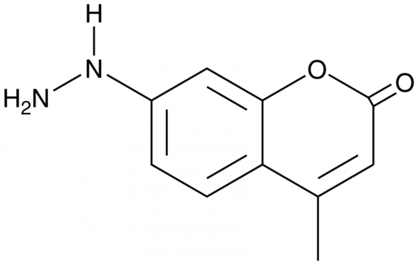 Coumarin hydrazine