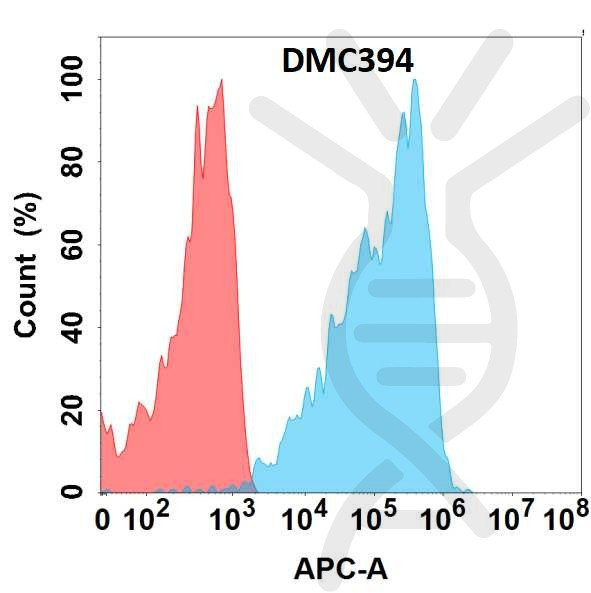 Anti-CLEC2D antibody(DMC394), IgG1 Chimeric mAb