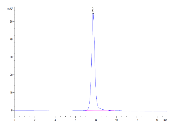 Cynomolgus AXL Protein