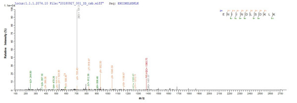 RB1-inducible coiled-coil protein 1 (RB1CC1), partial, human, recombinant