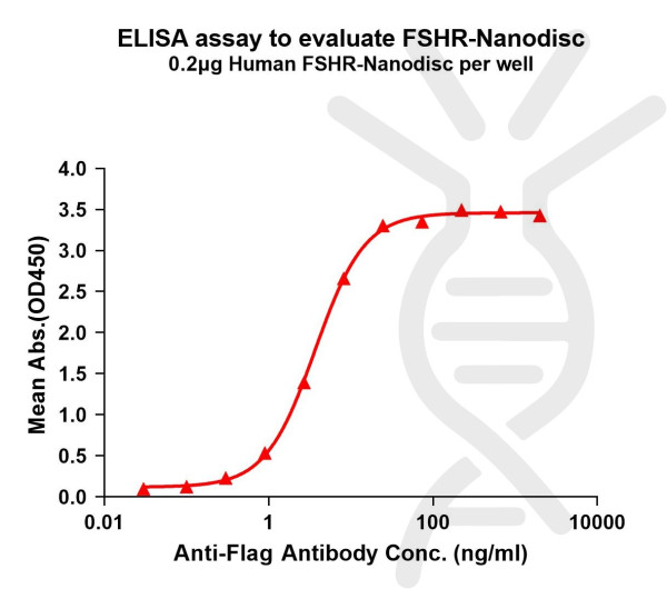 FSHR (human) full length protein-synthetic nanodisc
