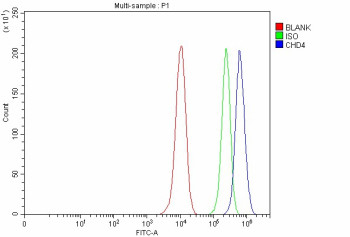 Anti-CHD4 / Chromodomain-helicase-DNA-binding protein 4 / Mi2-beta