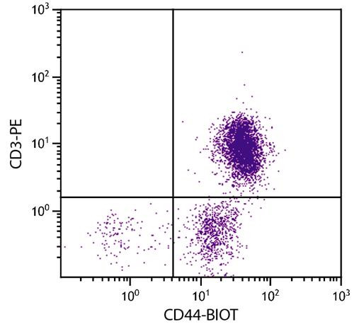 Anti-CD44 (Biotin), clone AV6