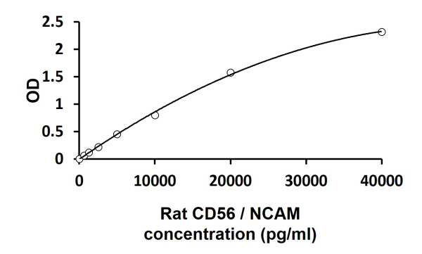 Rat CD56 / NCAM ELISA Kit