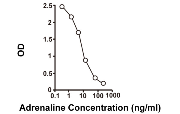 Human Adrenaline ELISA Kit