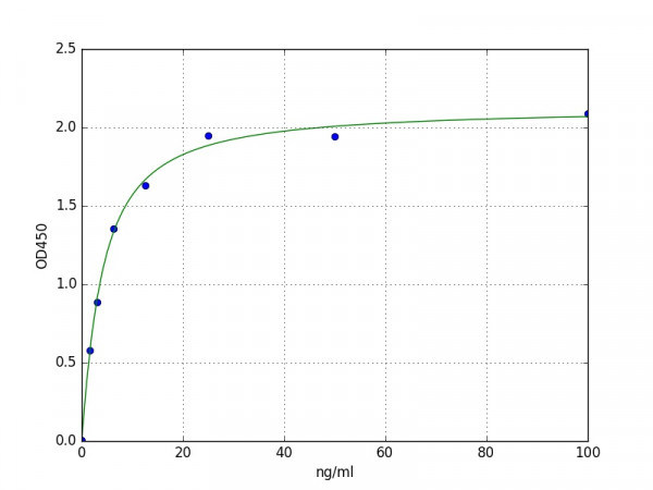 Human HSP60 ELISA Kit