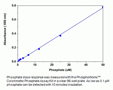 PhosphoWorks(TM) Colorimetric Phosphate Assay Kit *Blue Color*