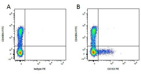 Anti-CD163 (RPE), clone 2A10/11