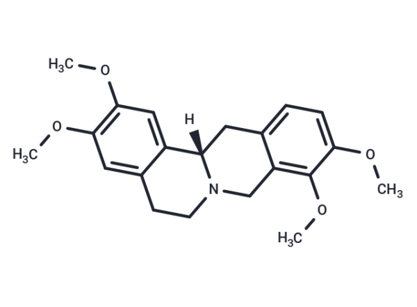 Rotundine