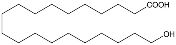 20-hydroxy Arachidic Acid