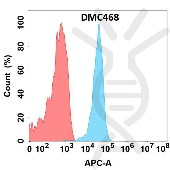 Anti-CLEC1A antibody(DMC468), IgG1 Chimeric mAb