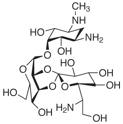 Hygromycin B