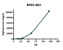 BRD2 (339-459), His-tag, human recombinant protein