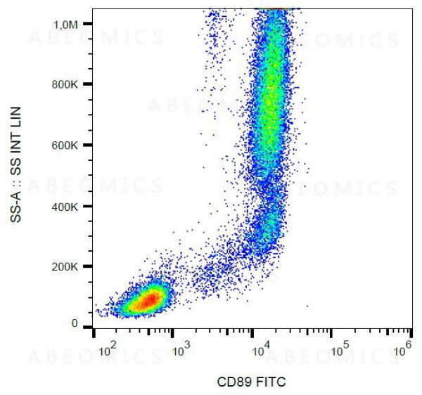 Anti-CD89 Monoclonal Antibody (Clone:A59)-FITC Conjugated