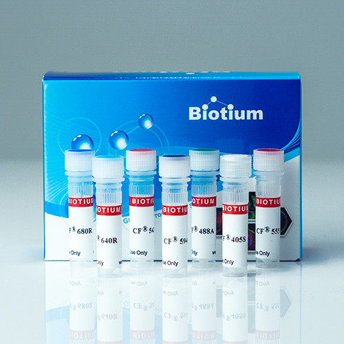 Bovine Serum Albumin, CF(R)680 Conjugate