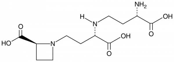 Nicotianamine