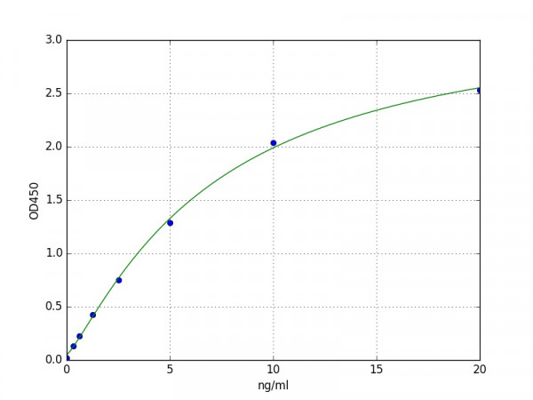 Human Nuclear Factor Kappa B / NFkB ELISA Kit