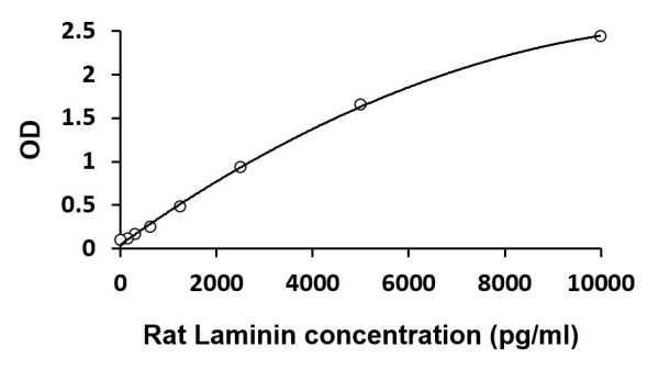 Rat Laminin ELISA Kit