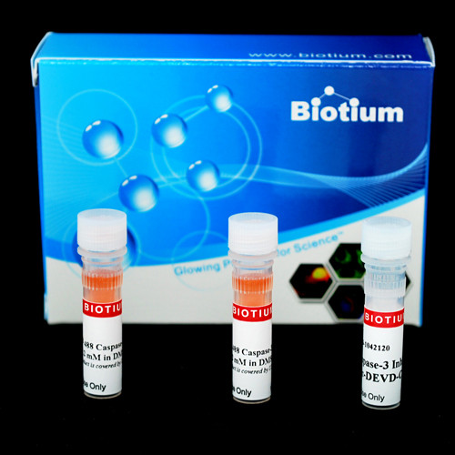 NucView(R) 488 Caspase 3 Assay Kit, Trial Size