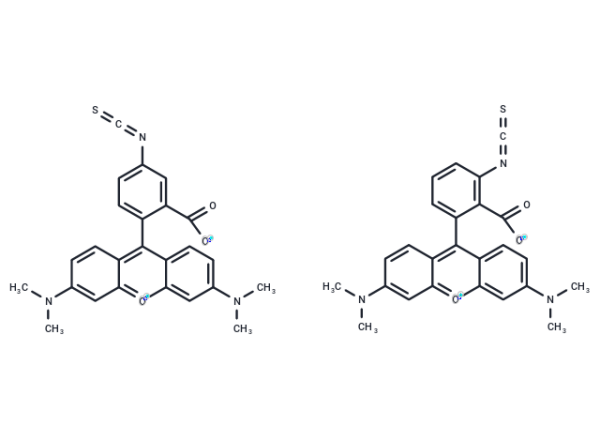5(6)-TRITC [Tetramethylrhodamine-5-(and-6)-isothiocyanate] *Mixed isomers*