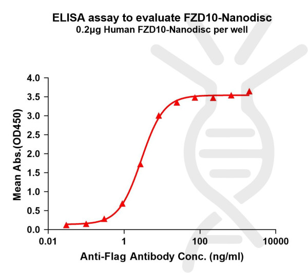 FZD10 (human) full length protein-synthetic nanodisc