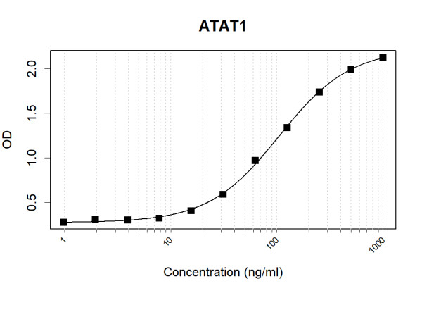 Anti-Human ATAT1 Antibody Pair