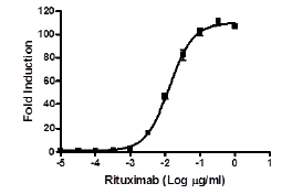 ADCC Cell Line, High Affinity