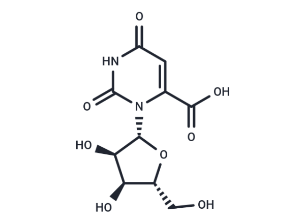 Orotidine
