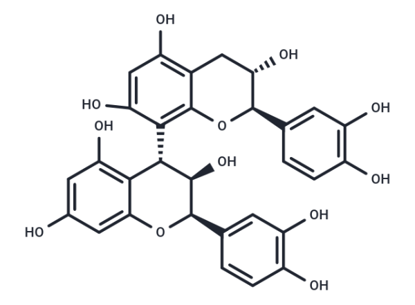 Procyanidin B1